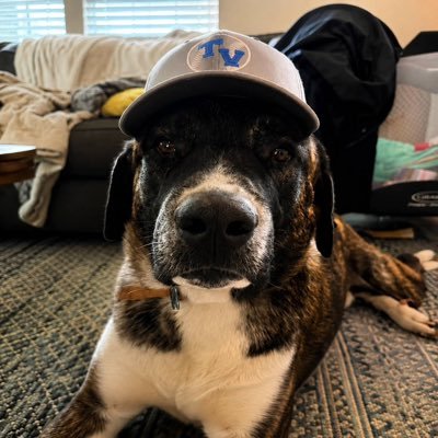 Save Snuggles X profile portrait